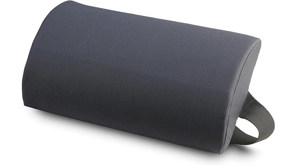 mckenzie lumbar support