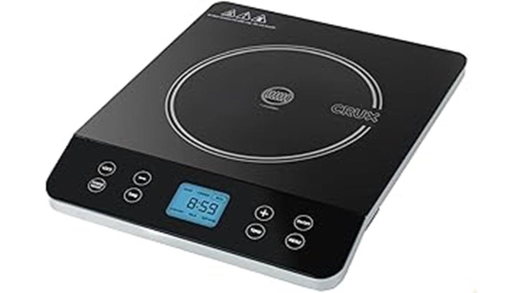 portable touchscreen induction cooktop