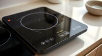 top portable induction cooktops