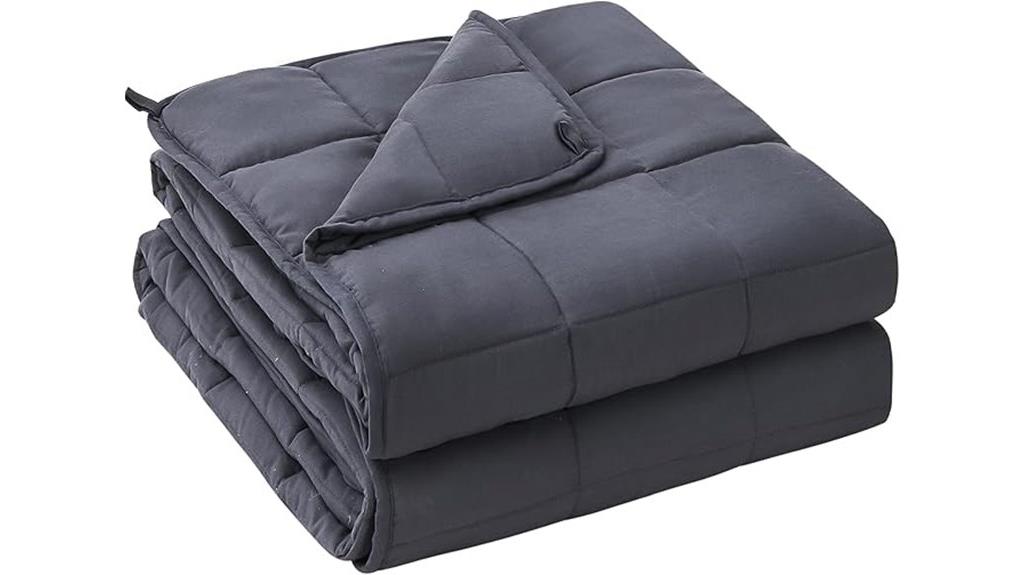 adult grey 20 lb blanket