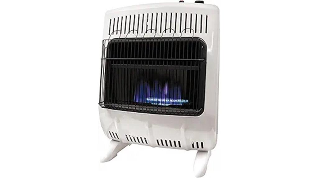 blue flame dual fuel heater