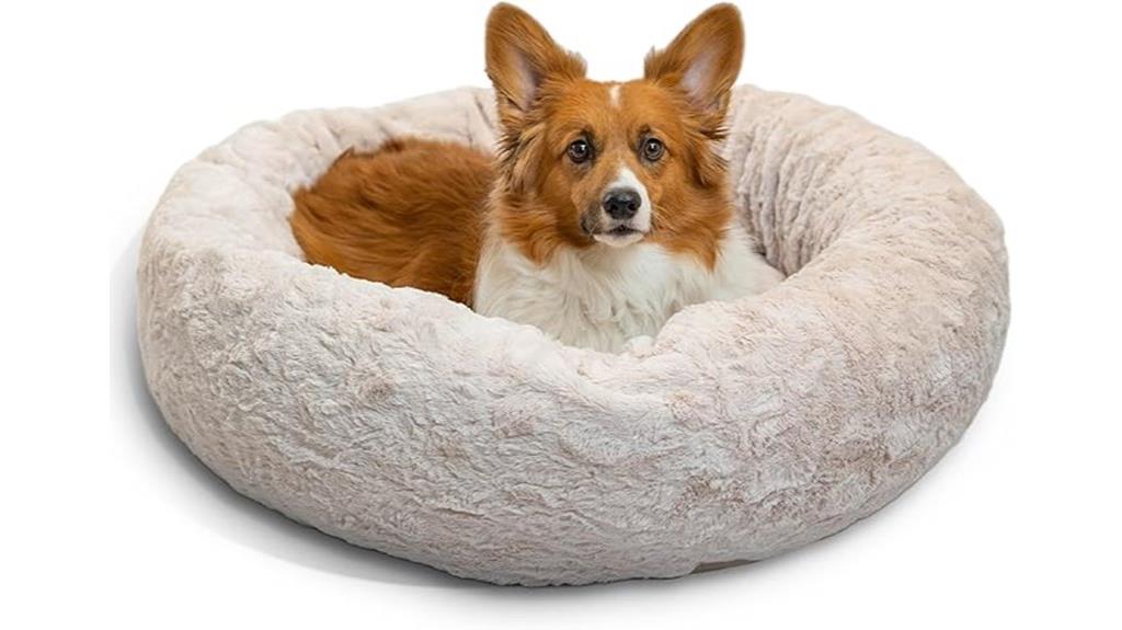 comfortable donut shaped pet bed