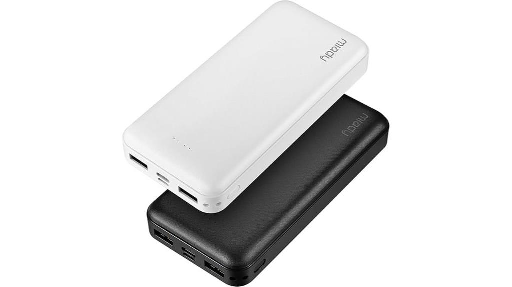 dual 20000mah power banks
