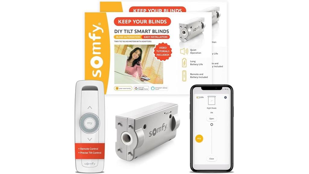 dual blind tilt motor