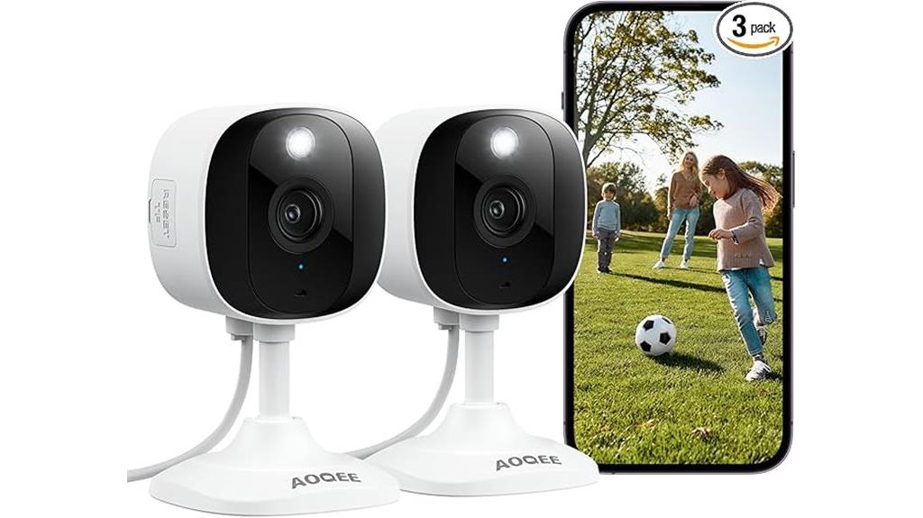 dual indoor outdoor cameras