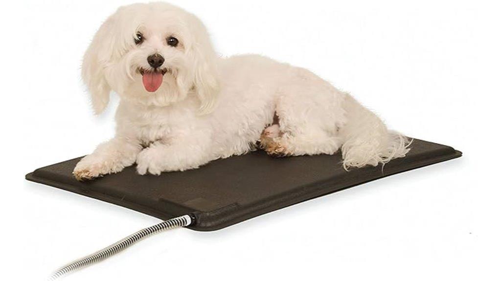 heated outdoor dog pad