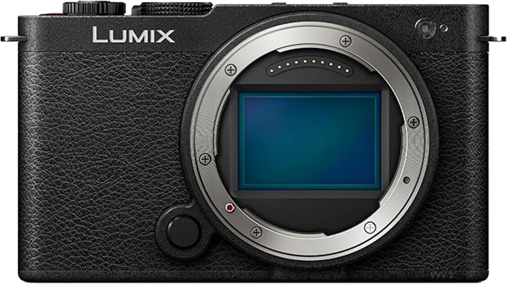 high performance mirrorless camera