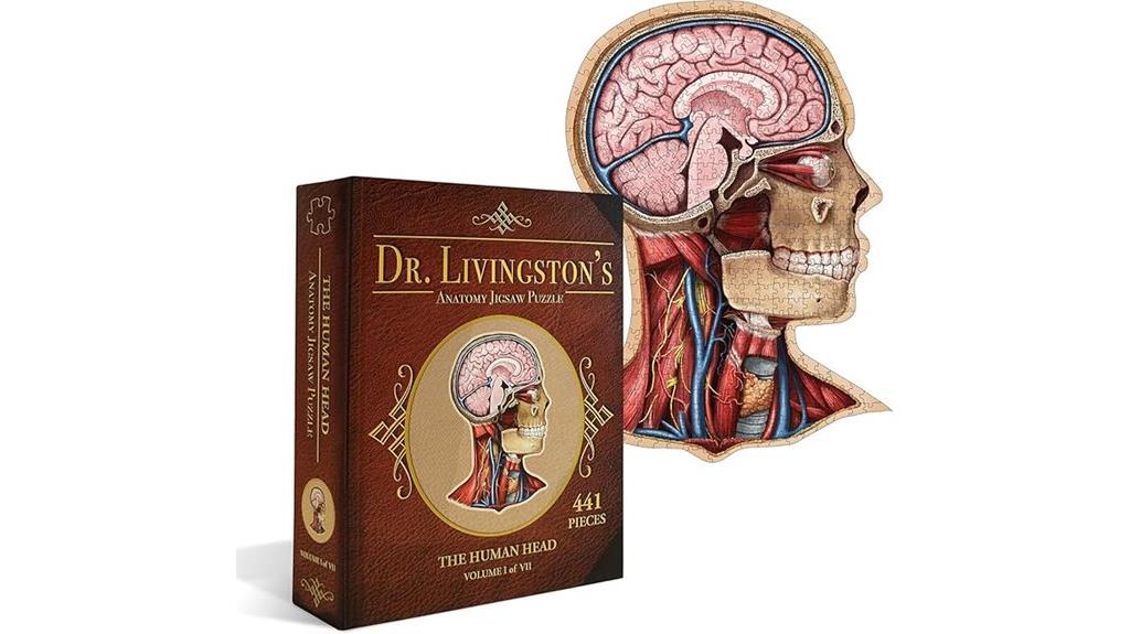 human head anatomy puzzle