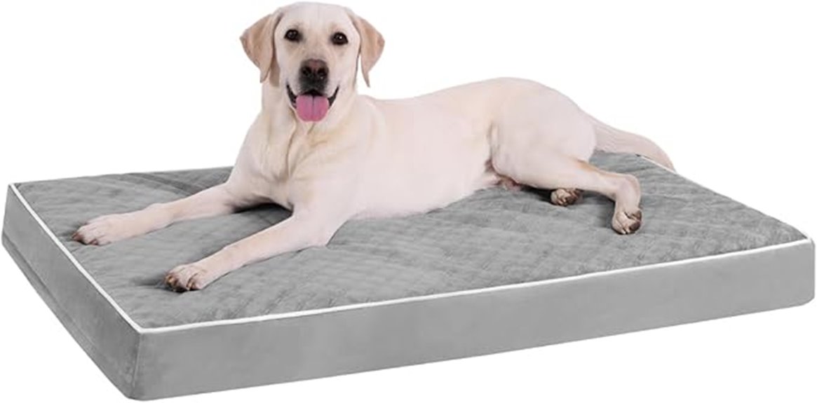 large crate orthopedic bed