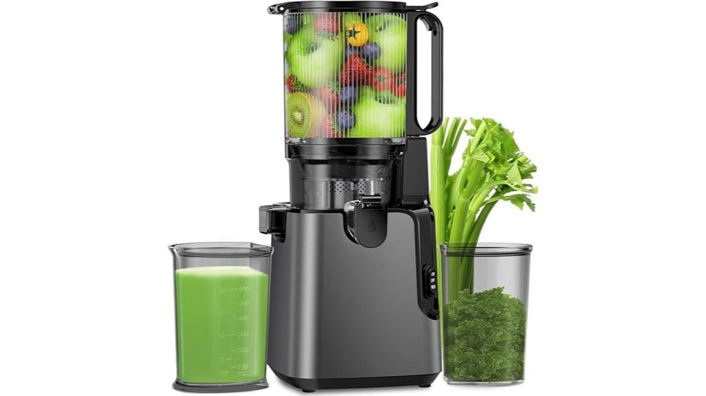 large feed slow juicer