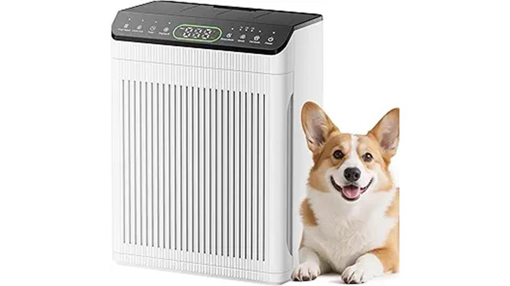 large room air purifier