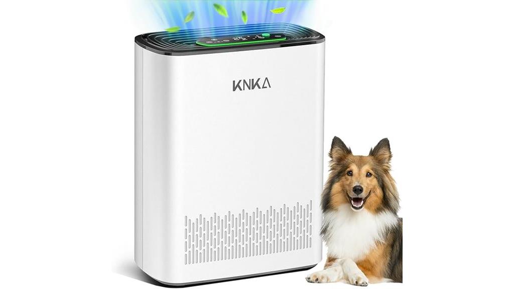 large room air purifiers