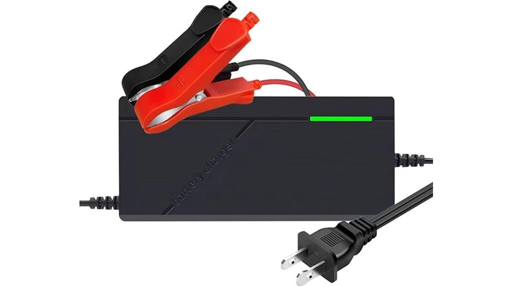 lifepo4 14 6v charger