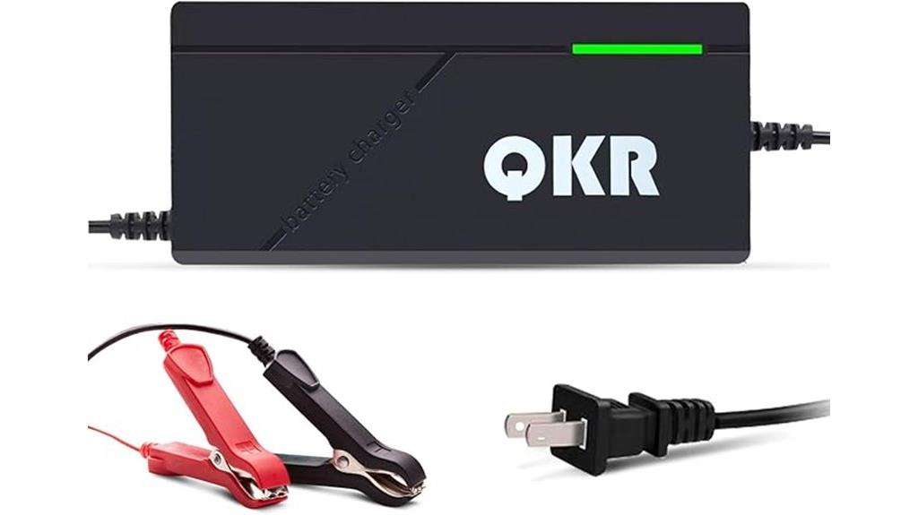 lifepo4 battery charger