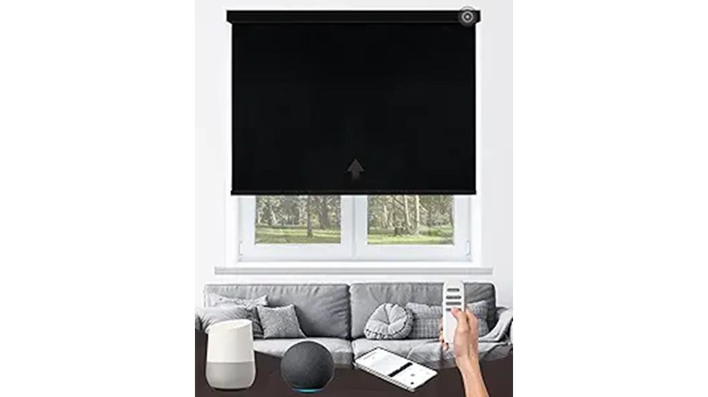 motorized blackout shade