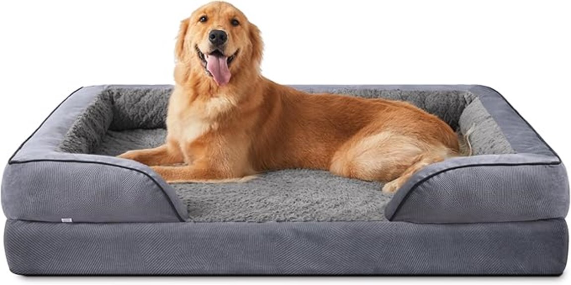 orthopedic large dog bed
