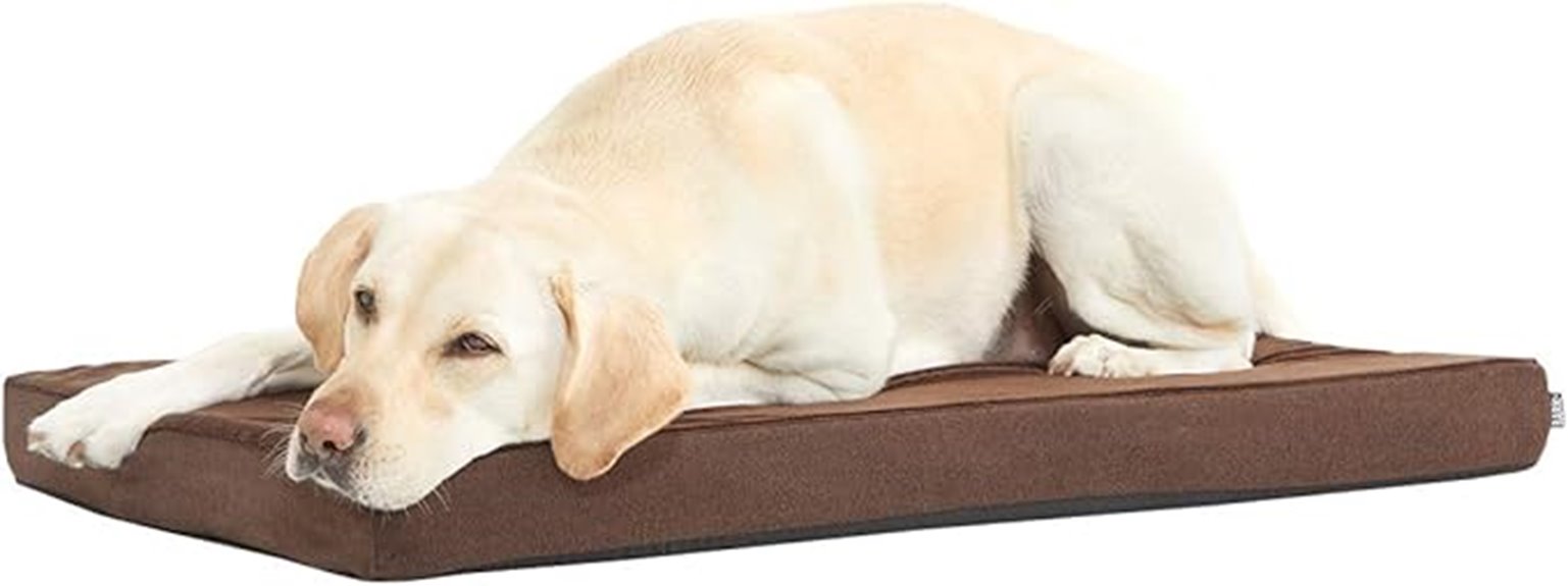 orthopedic memory foam bed
