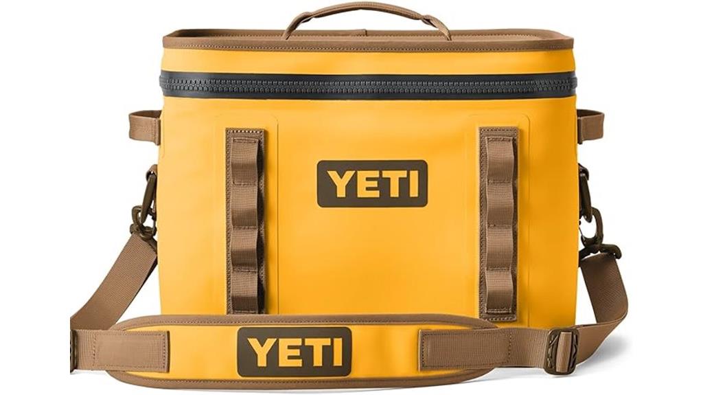 portable 18 quart cooler