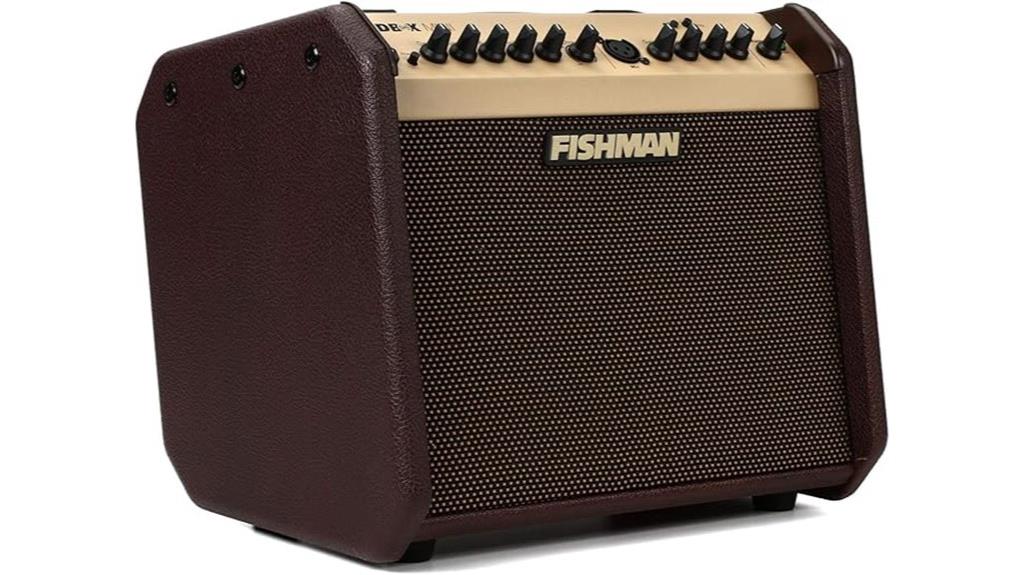 portable bluetooth acoustic amp