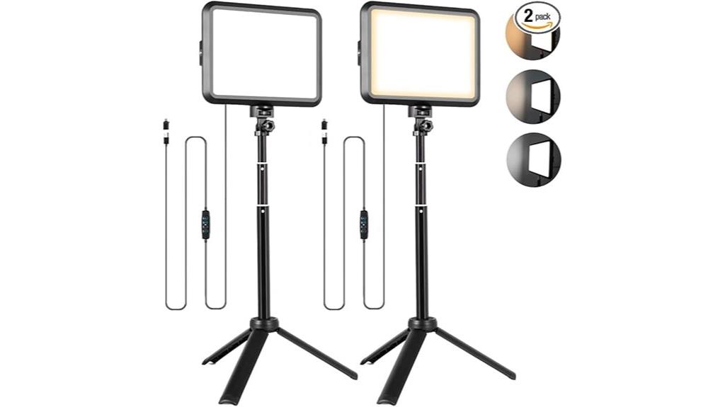 portable dual led lights