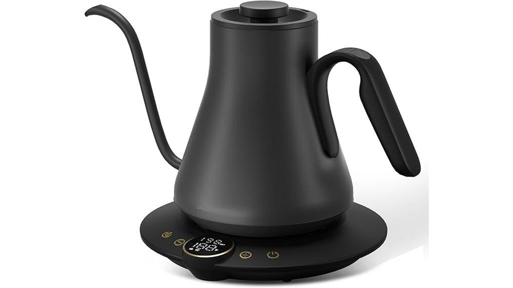 precise temperature electric kettle