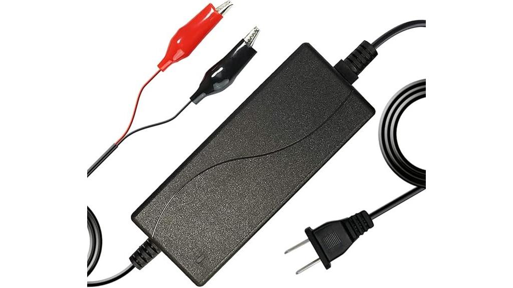 smart 12v battery charger