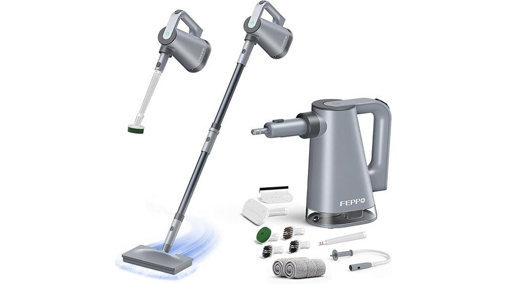 steam cleaning versatile portable