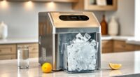 top ice makers for home