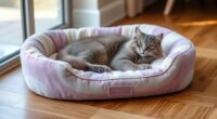 top luxury cat bed picks