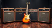 top luxury guitar amp combos