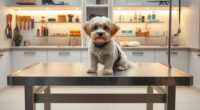 top pet grooming table recommendations