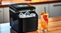 top portable ice makers