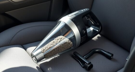 top vehicle cleaning picks
