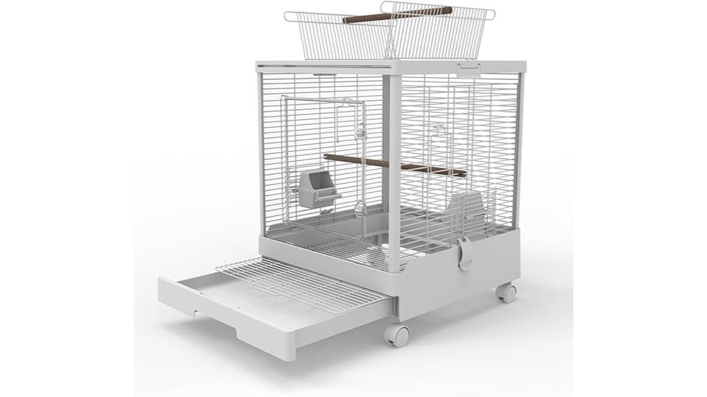 transparent cage with play top