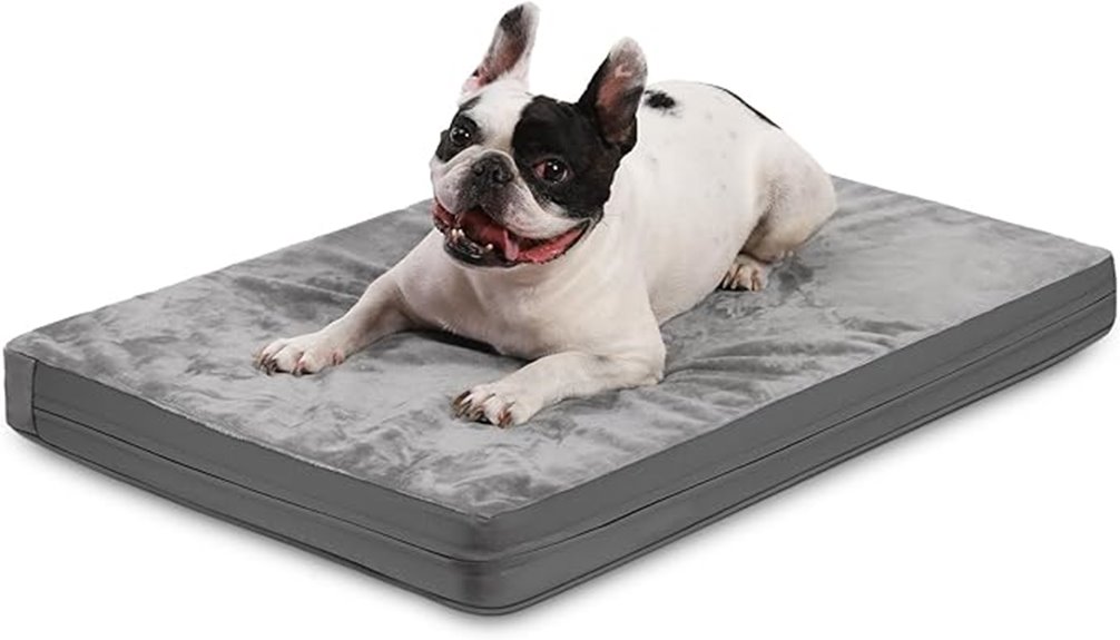 waterproof dog bed features