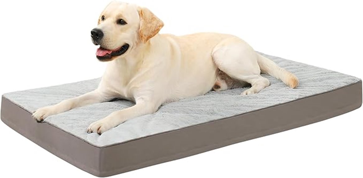 waterproof gray dog bed