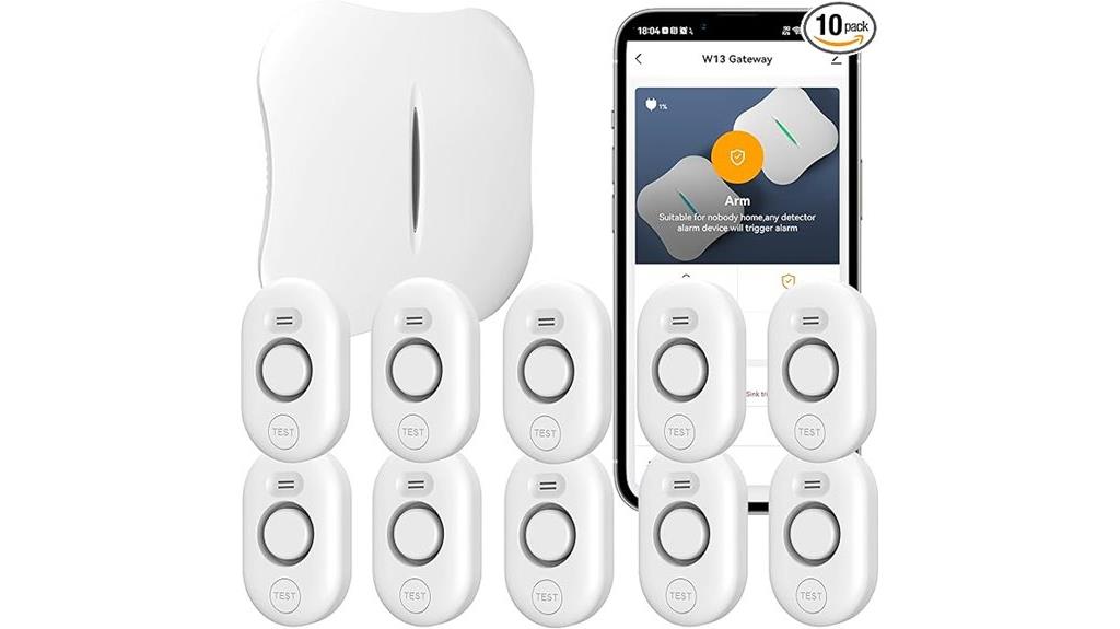 wifi leak detection system