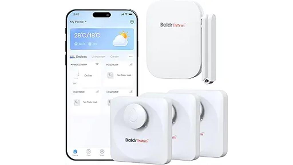 wireless leak detection system