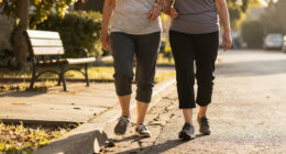 Weakness And Mobility Loss In Aging Are Not Just Muscle Problems